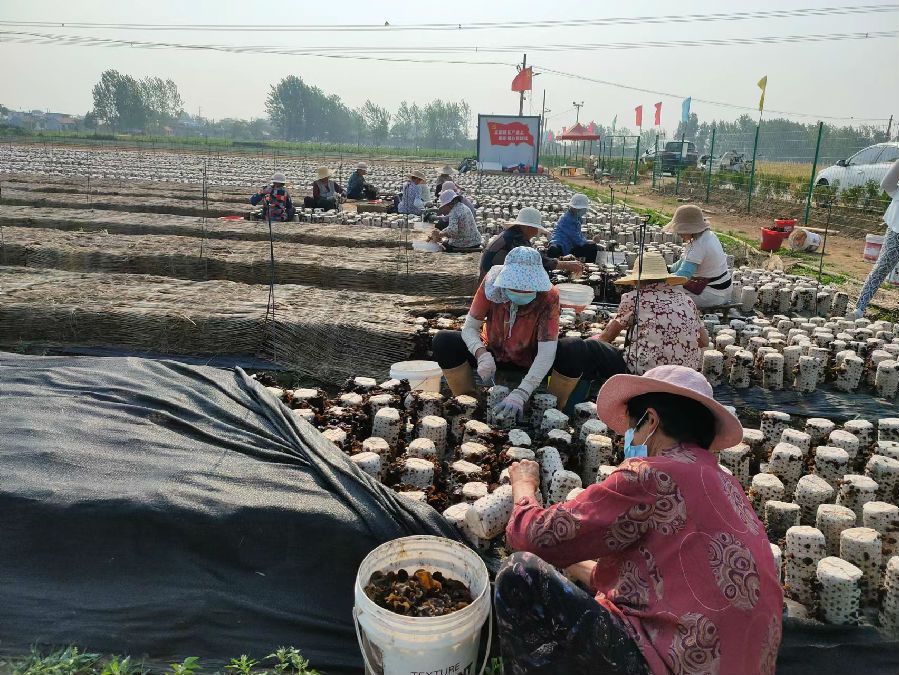 e59ce6e235692a0279c8b4aa2eb6968.jpg e59ce6e235692a0279c8b4aa2eb6968.jpg