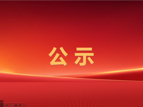 辰龍集團(tuán)東大煤礦2024年四季度較大及以上安全風(fēng)險(xiǎn)管控清單